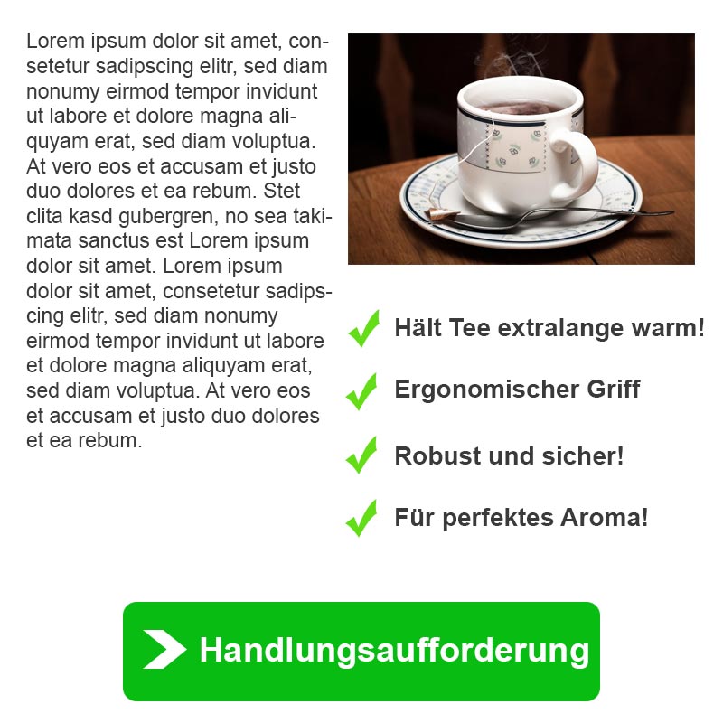 Beispiel einer Landingpage